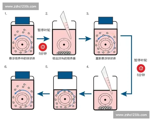 比赛期训练策略与调整的优化研究与实践探索 比赛期训练策略与调整的优化研究与实践探索