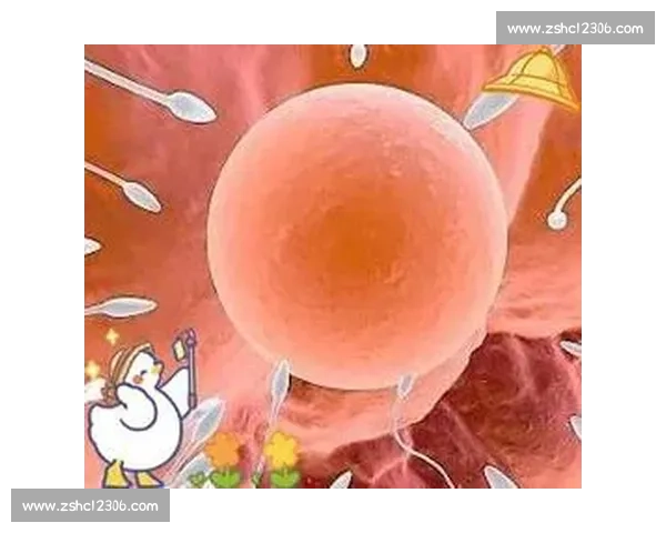 精子竞赛:生育之战背后的惊人科学与生物奇迹 精子竞赛:生育之战背后的惊人科学与生物奇迹